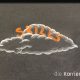 Kreidezeichnung auf Schiefertafel: Schriftzug "Skills" auf einer Wolke